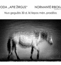 Exhibition "About Horses"