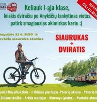 Bicycle tour of Anykščiai attractions