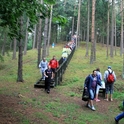 Siaurukas invites you to hike on Mindaugas Road!